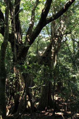 Parque Nacional Rincon de la Vieja