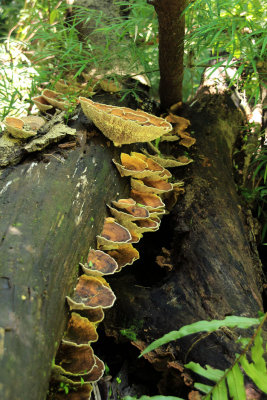 Parque Nacional Rincon de la Vieja