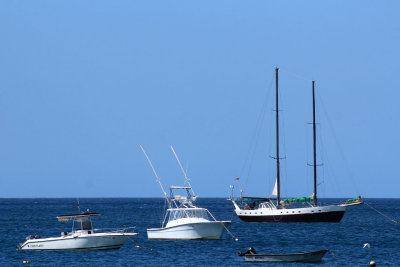 Tamarindo
