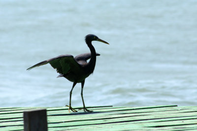 IMG_4861.JPG