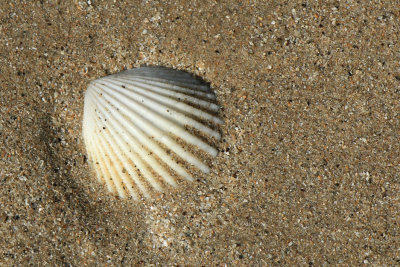 IMG_5291.JPG