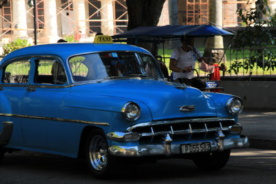 IMG_8336.JPG