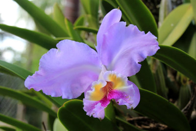IMG_8572.JPG