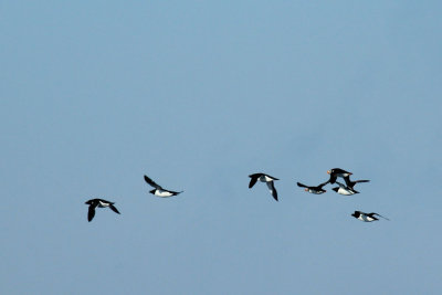 around Gjesvrstappan