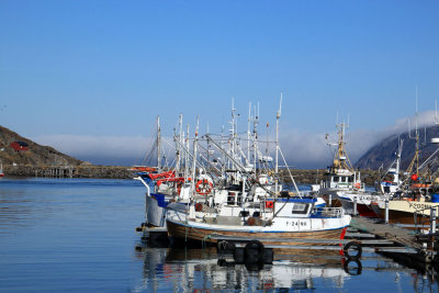 Skarsvg