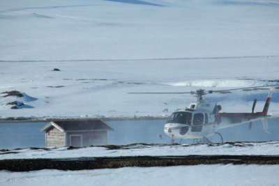 IMG_9973.JPG
