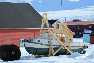 IMG_9978.JPG