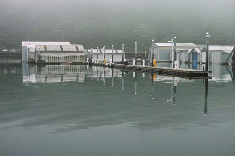 Fog