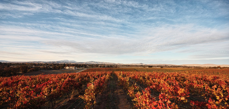 late afternoon in november