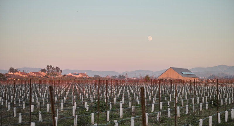 Moonrise Jan 03