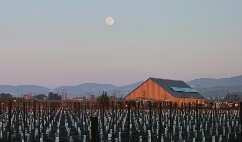 Moonrise cropped