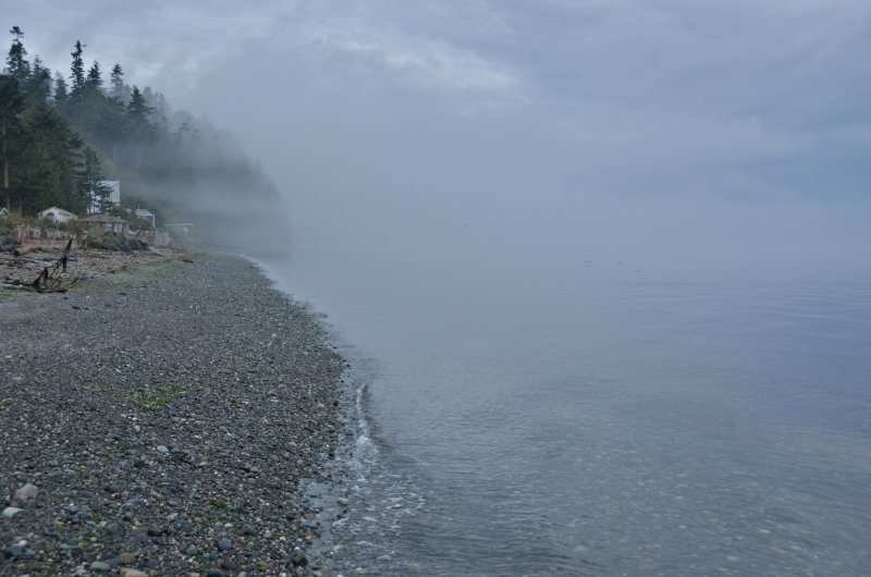 Fog