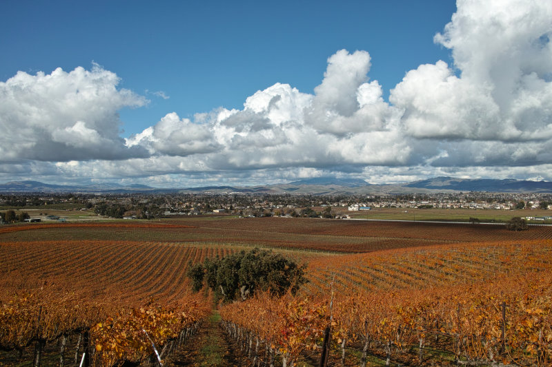 South Livermore