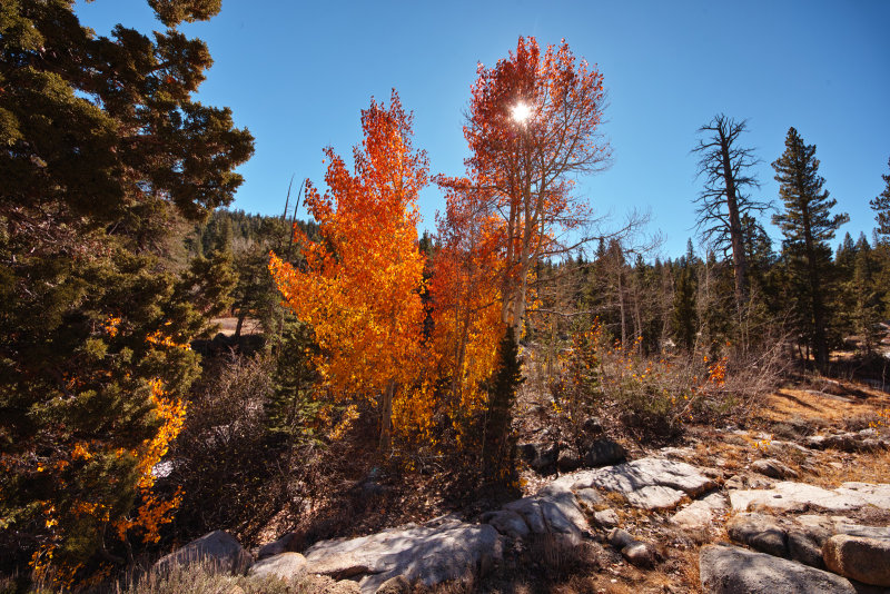 sonora pass 3