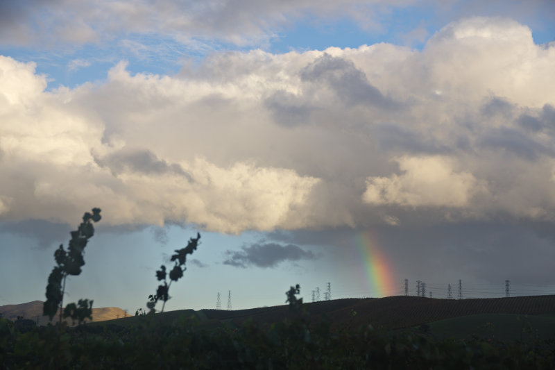 Rain-bolt