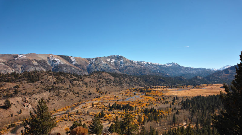 leavitt meadow