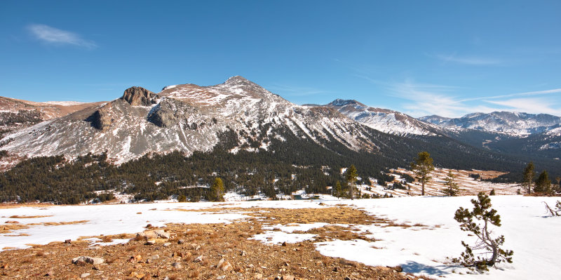 mt dana