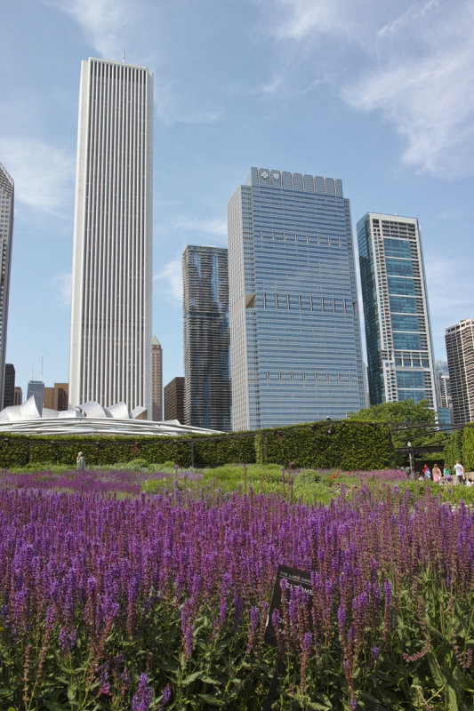 lurie garden