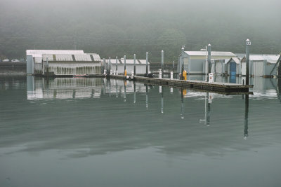 Fog