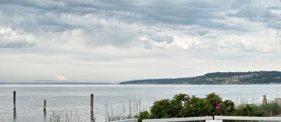 mt baker
