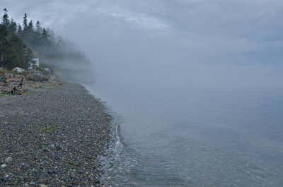 Fog