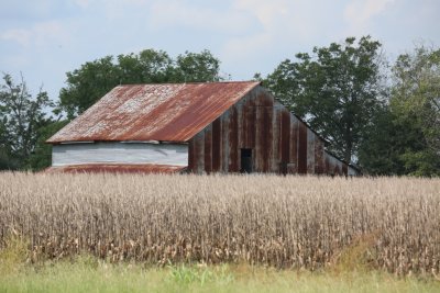 Old Barn-Fairchilds TX.JPG