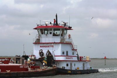 Aransas National Wildlife Refuge, April 2015