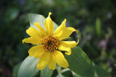 February 2016 Pictures
