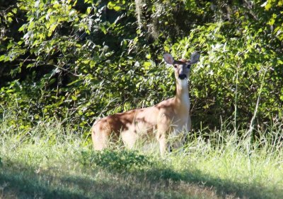 September 2016 Pictures