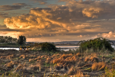 Passing Storm, Blackie's Spit