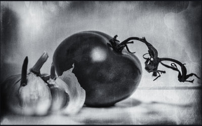 Ingredients for Life 