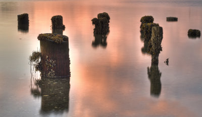 The old pilings