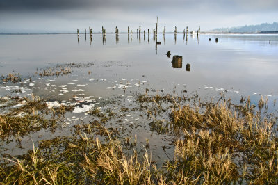 Wetlands, Blackie Spit