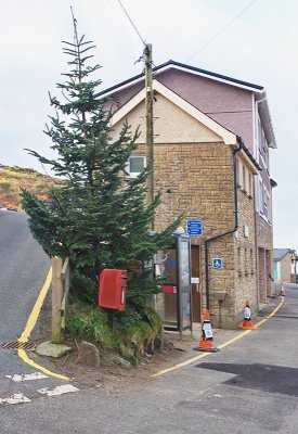 Pub Plumb Tree Tipsy