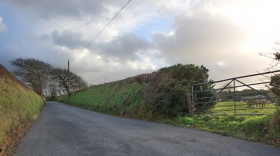 Rural Roads 1