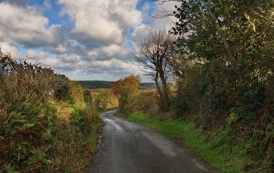 Rural Roads 4