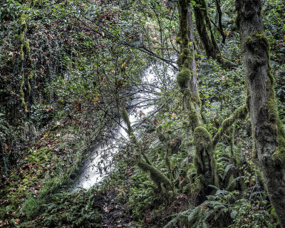 Bridal Veil Falls 365A9771.jpg