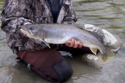 LakeTrout39.jpg