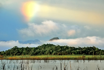 Gal Oya  National Park - Sri Lanka