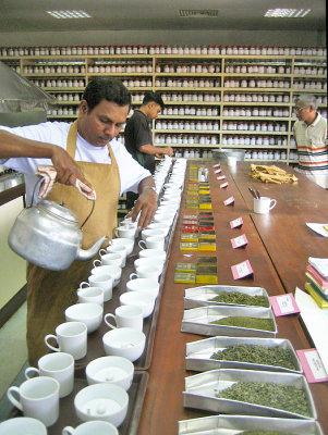 Tea Tasting Room - Sri Lanka