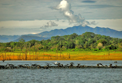 Gal Oya Landscape - Sri Lanka