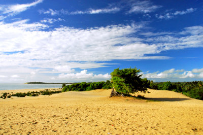 Arugam Bay - Sri lanka
