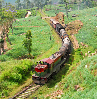 Train - Sri lanka