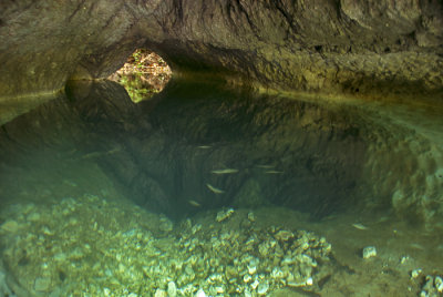 Shark Cave - West Kwaio  Malaita