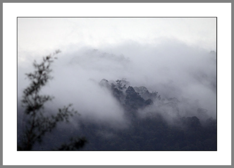 misty
