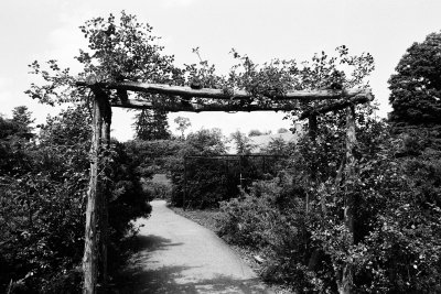 rose garden entrance