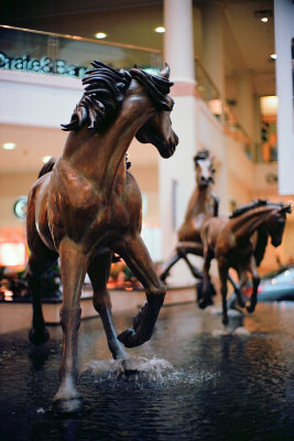 Mall horses