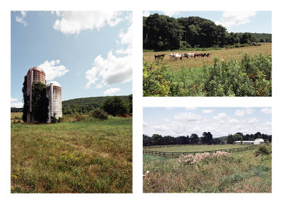 rural scenes from Dutchess County, NY