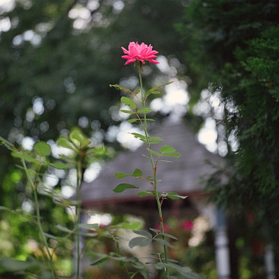 g9/81/929081/3/164149667.aOWPzJ2r.jpg