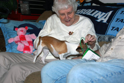 IMG_0038e_Pb.jpg